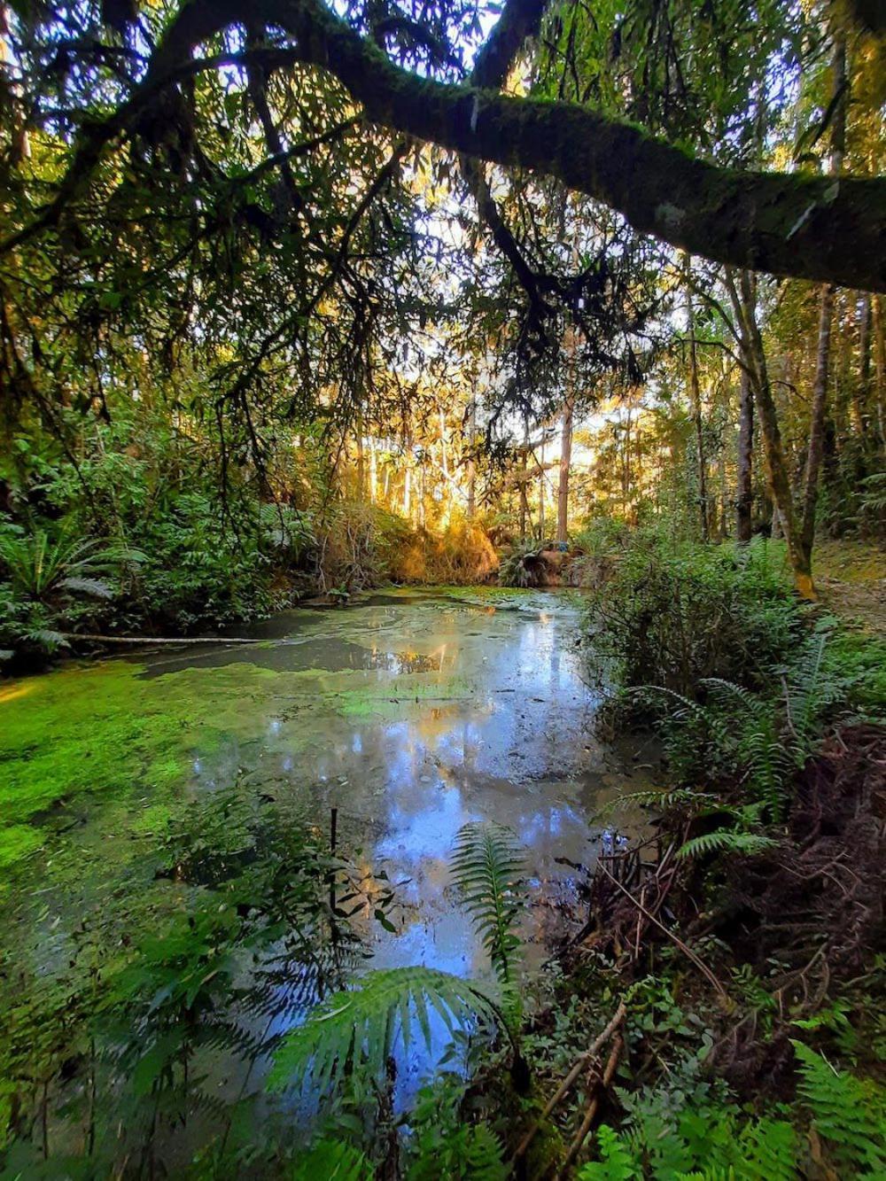 Recanto Paraiso Aventuras Rio Negrinho Esterno foto
